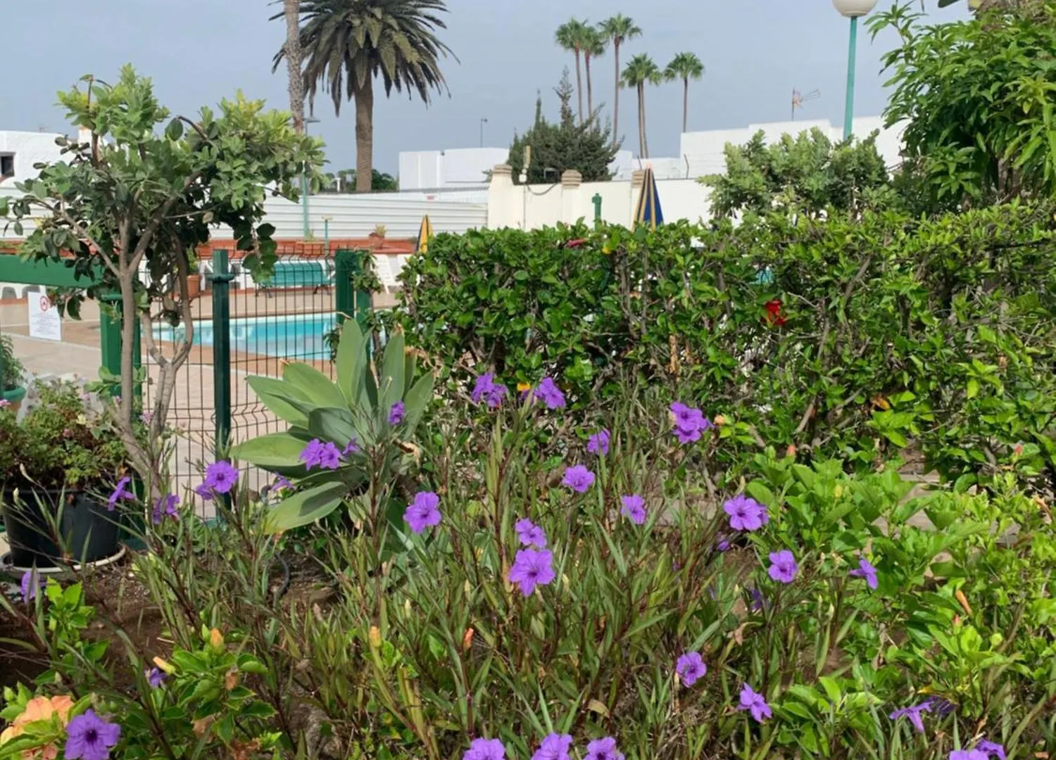 Villa Felicidad à Playa del Inglés 0*,